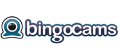 bingoCams